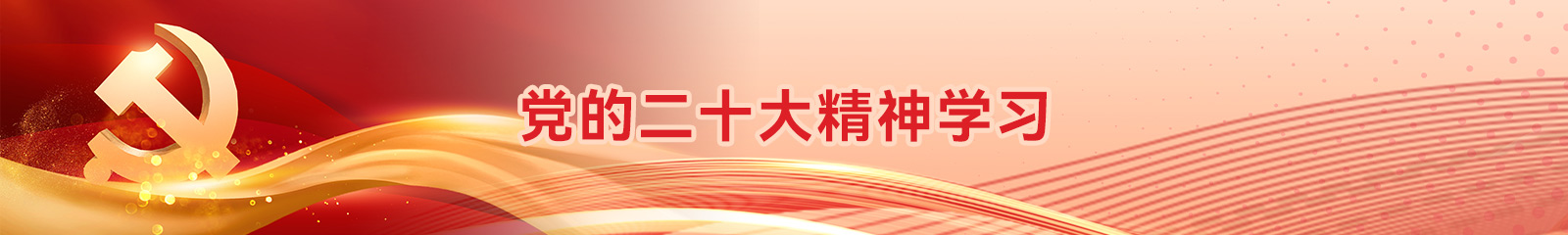 党的二十大精神学习